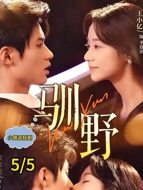 白露为霜都市电视剧全集免费看